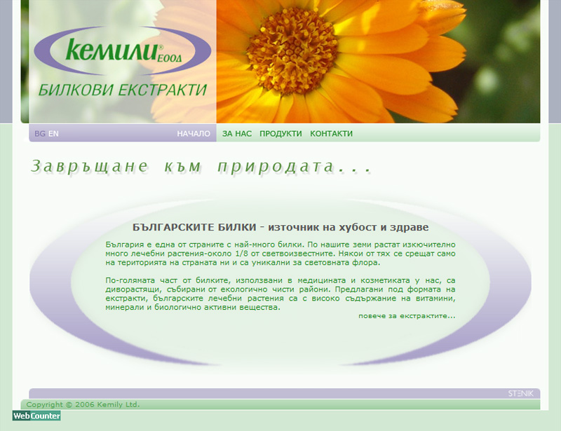 Уеб сайт на Кемили, Kemily - Web Sites, Stenik